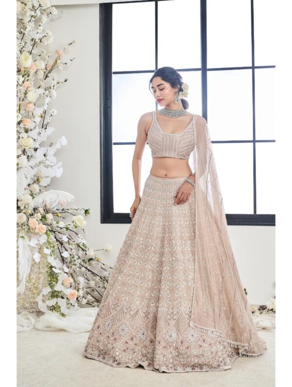 Disha Muchhala - SHAAN