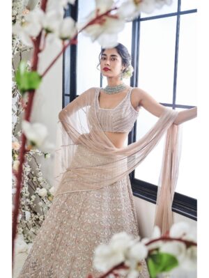 Disha Muchhala - SHAAN - Image 3