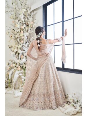 Disha Muchhala - SHAAN - Image 2
