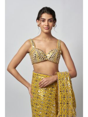 Gopi Vaid - Nandana Saree Set - Image 4
