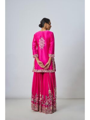 Gopi Vaid - Ekantika Sharara Set - Image 4